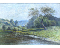 Strom u řeky