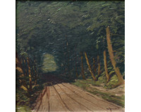 Cesta lesem