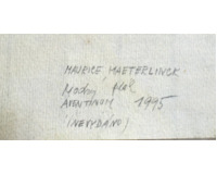 Modrý pták - Maurice Maeterlinck I.