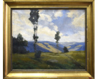 Kopcovitá krajina