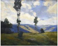 Kopcovitá krajina