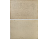Brlohy + Borešnice 1909