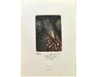 Lyra Pragensis 1
