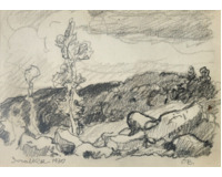 Svratka 1930