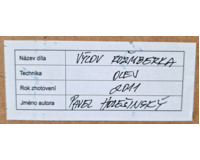 Výlov Rožmberka