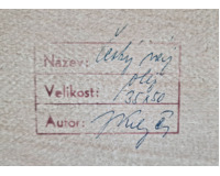 Český ráj
