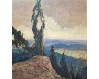 Strom na skále