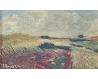 Mezi poli