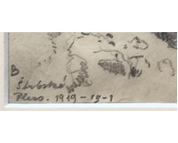 Štrbské pleso  1919 - Oslov u Zvíkova 1916