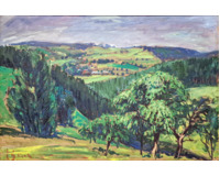 Zelená krajina
