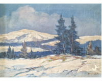 Zima