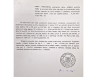 Vrbina na jaře - Francie - Velký formát