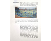 Vrbina na jaře - Francie - Velký formát