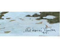Před Úpicí - 1915