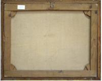 Cesta v lese