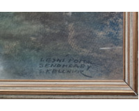 Lesní potok - Senohraby