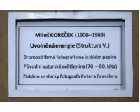 Uvolněná energie a Organismy