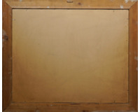 Letní večer na Českomoravské vysočině Letní večer na Českomoravské vysočině