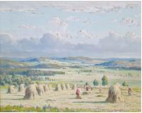 Letní večer na Českomoravské vysočině Letní večer na Českomoravské vysočině