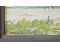 Letní večer na Českomoravské vysočině Letní večer na Českomoravské vysočině