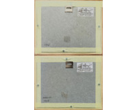 Štědronín + Karlov Štědronín + Karlov