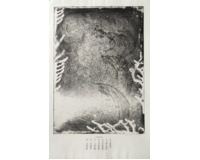 12 leptů - Různé motivy