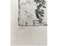 12 leptů - Různé motivy