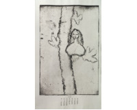 12 leptů - Různé motivy