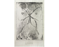 12 leptů - Různé motivy