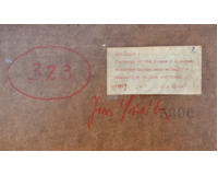 Náhlý zmatek v růžové galaxii