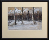 Vrány v lese Vrány v lese