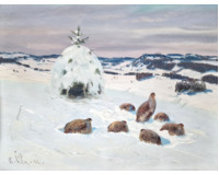 Koroptve v zimě Koroptve v zimě