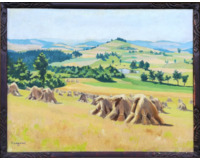 Letní krajina