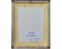 Růže s Hildesheimu