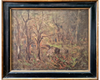 Interiér lesa Interiér lesa