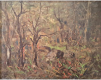 Interiér lesa Interiér lesa