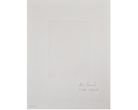 VIOLA ODORATA VIOLA ODORATA