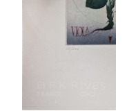 VIOLA ODORATA VIOLA ODORATA