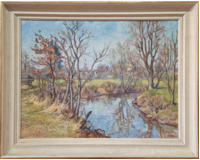 Vesnický potok na jaře Vesnický potok na jaře