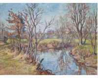 Vesnický potok na jaře Vesnický potok na jaře