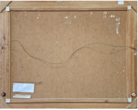 Vesnický potok na jaře Vesnický potok na jaře