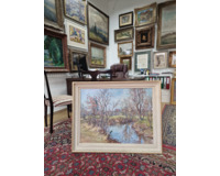 Vesnický potok na jaře Vesnický potok na jaře