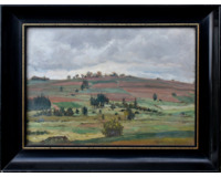 Pole na Vysočině Pole na Vysočině