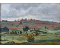 Pole na Vysočině Pole na Vysočině