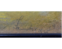 Pole na Vysočině Pole na Vysočině