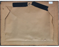 Pole na Vysočině Pole na Vysočině