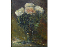 Chryzantémy Chryzantémy