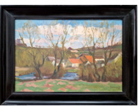 Vesnický rybník Vesnický rybník