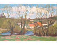 Vesnický rybník Vesnický rybník