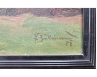 Vesnický rybník Vesnický rybník